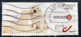 België - Belgique - C3/24 - 2015 - (°)used - Puppies - Afgestempeld
