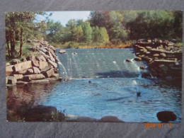 FOREST PARK DAM & FOUNTAIN - Springfield