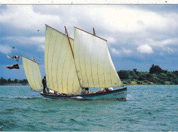 56. VOILIERS. CPSM.  LA YOLE " MORBIHAN ". DEVANT L'ILE D'ARZ. FORMAT  17 X12 Cm - Ile D'Arz