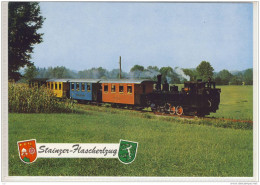 STAINZ - Stainzer Flascherlzug Eisenbahn V. Verein Stainzer Gilde - Stainz