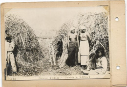 3-CHOZA INDIA-CHACO(ARGENTINA)1920 - América