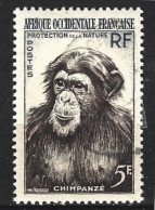 AOF. N°51 Oblitéré De 1955. Chimpanzé. - Schimpansen