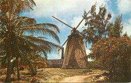 Barbados Old Sugar Mill At Morgan Lewis - Barbados