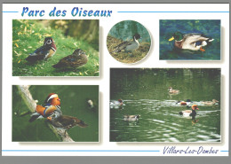 CPM 01 - Villars Les Dombes - Parc Ornithologique - Canards - Colvert - Villars-les-Dombes