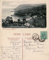 GREAT BRITAIN 1903 POSTCARD SENT FROM SALCOMBE - Storia Postale