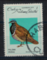 Cuba - "Pigeons Sauvages De Cuba : Starnienas Cyanocephala" - Oblitéré N° 2093 De 1979 - Used Stamps