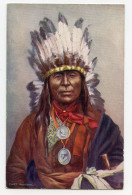 Amérique.le Guerrier Indien.chief  Iron Owl - América