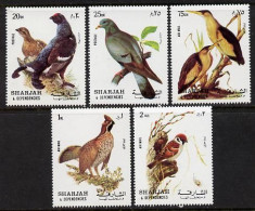 Sharjah 1972, Birds I, Pigeon, 5val - Palomas, Tórtolas