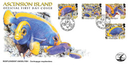 ASCENSION - FDC WWF 2007 - ANGELFISH / 4283 - Ascensione