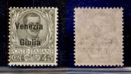 Occupazioni I Guerra Mondiale - Venezia Giulia - 1918 - 45 Cent (26) - Gomma Integra (150) - Other & Unclassified