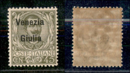 Occupazioni I Guerra Mondiale - Venezia Giulia - 1918 - 45 Cent Floreale (26) - Gomma Integra - Molto Ben Centrato (300) - Other & Unclassified