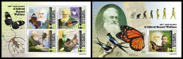 DJIBOUTI 2023 MNH Alfred Russell Wallace M/S+S/S – IMPERFORATED – DHQ2403 - Natuur