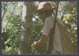 127552/ MANAUS, Seringueiro, Rubber Gatherer - Manaus