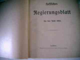 Hessisches Regierungsblatt Für Das Jahr 1924 - Droit