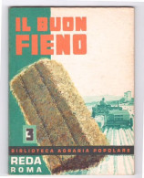 IL BUON FIENO - N° 3 - REDA ROMA 1968 - To Identify