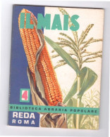 IL MAIS - N° 4 - REDA ROMA 1968 - A Identifier