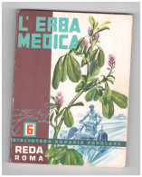 L' ERBA MEDICA - N° 6 - REDA ROMA 1971 - Zu Identifizieren