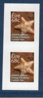 EIRE Ireland Irlande, **, Yv 2098, Mi 2099, SG 2224, étoile De Mer (Asterina Gibbosa), Paire De Carnet, - Neufs