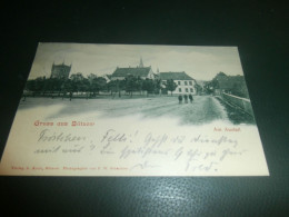 Ansichtskarte Bützow In Mecklenburg , 1900 , Am Ausfall , AK Gelaufen !!! - Bützow