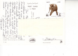 EGITTO 1996 - Cartolina Per Italia - Cartas & Documentos
