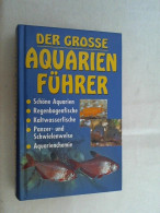 Der Große Aquarienführer : Schöne Aquarien, Regenbogenfische, Kaltwasserfische, Panzer- Und Schwielenwelse, - Altri & Non Classificati