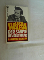 Lech Walesa : D. Sanfte Revolutionär. - Contemporary Politics