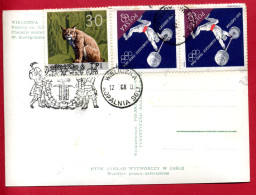 1968 - Pologne - Oblit. "KOPALNIA SOLI" (MINE DE SEL) De WIELICZKA - Carte Postale De La Chapelle Souterraine De La Mine - Frankeermachines (EMA)