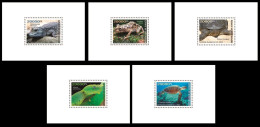 GUINEA GUINEE 2023 SET 5 SHEETS - REPTILES FROGS TURTLES TURTLE CROCODILES SNAKES TORTUES SERPENTS - LUXE MNH - Ranas