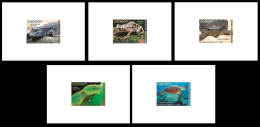 GUINEA GUINEE 2023 SET 5 DELUXE PROOFS - REPTILES FROGS TURTLES TURTLE CROCODILES SNAKES TORTUES SERPENTS - Ranas