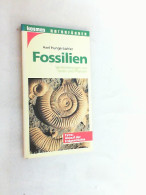 Fossilien : Versteinerungen Von Tieren Und Pflanzen ; Extra: Ablauf Der Erdgeschichte. - Otros & Sin Clasificación