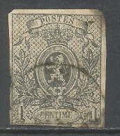 BELGICA YVERT NUM. 22 USADO - 1866-1867 Petit Lion