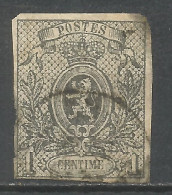 BELGICA YVERT NUM. 22 USADO - 1866-1867 Kleine Leeuw