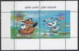 AC - TURKEY BLOCK STAMP - WORLD ENVIRONMENT DAY BIRDS DUCK - AVOCET SOUVENIR SHEET MNH 05 JUNE 2000 - Blocs-feuillets