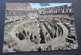 Roma - Interno Colosseo - # 551 - Coliseo