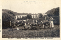 39 - Environs D'Arbois - Attelage Franc Comtois - Viaduc De Montigny - Arbois