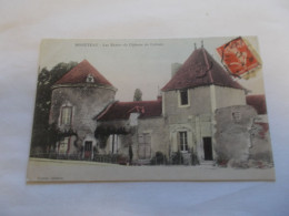 MONETEAU ( 89 Yonne ) LES RESTES DU CHATEAU DE COLBERT   COLORISER - Moneteau