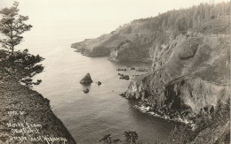 North From Otter Crest, Oregon Coast Highway, Oregon R. P. P. C. - Sonstige & Ohne Zuordnung