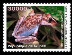 GUINEA 2023 - STAMP 1V - TOXIC SPECIES - FROGS FROG GRENOUILLES GRENOUILLE - MNH - Ranas