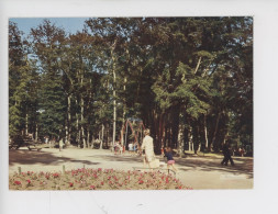 Le Havre : En Forêt De Montgeon, Un Coin De Détente (cp Vierge N°299 Cigogne) Animée Jeux Enfants - Forêt De Montgeon