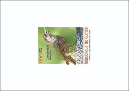 GUINEA 2023 DELUXE PROOF - BIRDS OISEAUX - WOODPECKER PIC - Pics & Grimpeurs