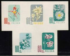 POLAND 1957 ENDANGERED FLOWERS COLOUR PROOFS BLOCK OF 5 NHM Flowers Lily Edelweiss Sea Holly Carlina Acaulis Cypripedium - Prove & Ristampe