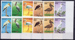 Tchad 1999, Birds, Henron, Phenicopter, 6val IMPERFORATED - Fenicotteri