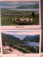 CPM IRELAND Lot 2 Cartes - Kerry