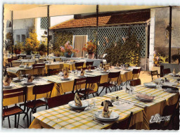 COULANGES SUR YONNE : Hôtel Du Lion D'Or, La Terrasse - Très Bon état - Coulanges Sur Yonne