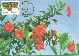 Carte Maximum - Taiwan - Formose - Flowers - Fleurs - Rose Mallow - Hibiscus Rosa-sinensis - Cartes-maximum
