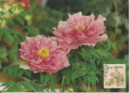 Carte Maximum - Taiwan - Formose - Flowers - Fleurs - Paeonia Suffruticosa - Cartes-maximum
