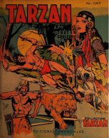 B D > Tarzan > 1971  Cartonné  >  Réf  C 16 - Tarzan