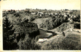 Belgique - Luxembourg - Chiny - Panorama Pris "du Terme" - Chiny