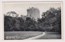 AK 197660 IRELAND - The Approach To Blarney Castle - Co. Cork - Cork