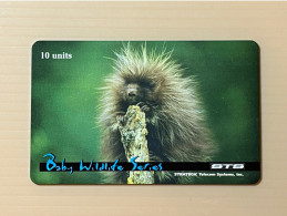 Mint USA UNITED STATES America STS Prepaid Telecard Phonecard, Baby Wildlife Series, Set Of 1 Mint Card - Autres & Non Classés